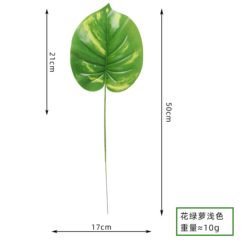05