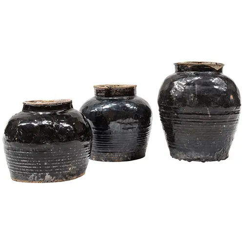 Antico cinese fiore di ceramica vaso nero