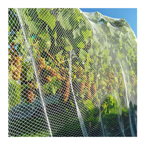 Weinberg Obstgarten Trauben frucht vehe table hdpe Mesh <span class=keywords><strong>Anti</strong></span>-Vogel-Dach knoten loses <span class=keywords><strong>Anti</strong></span>-Vogel-Netz
