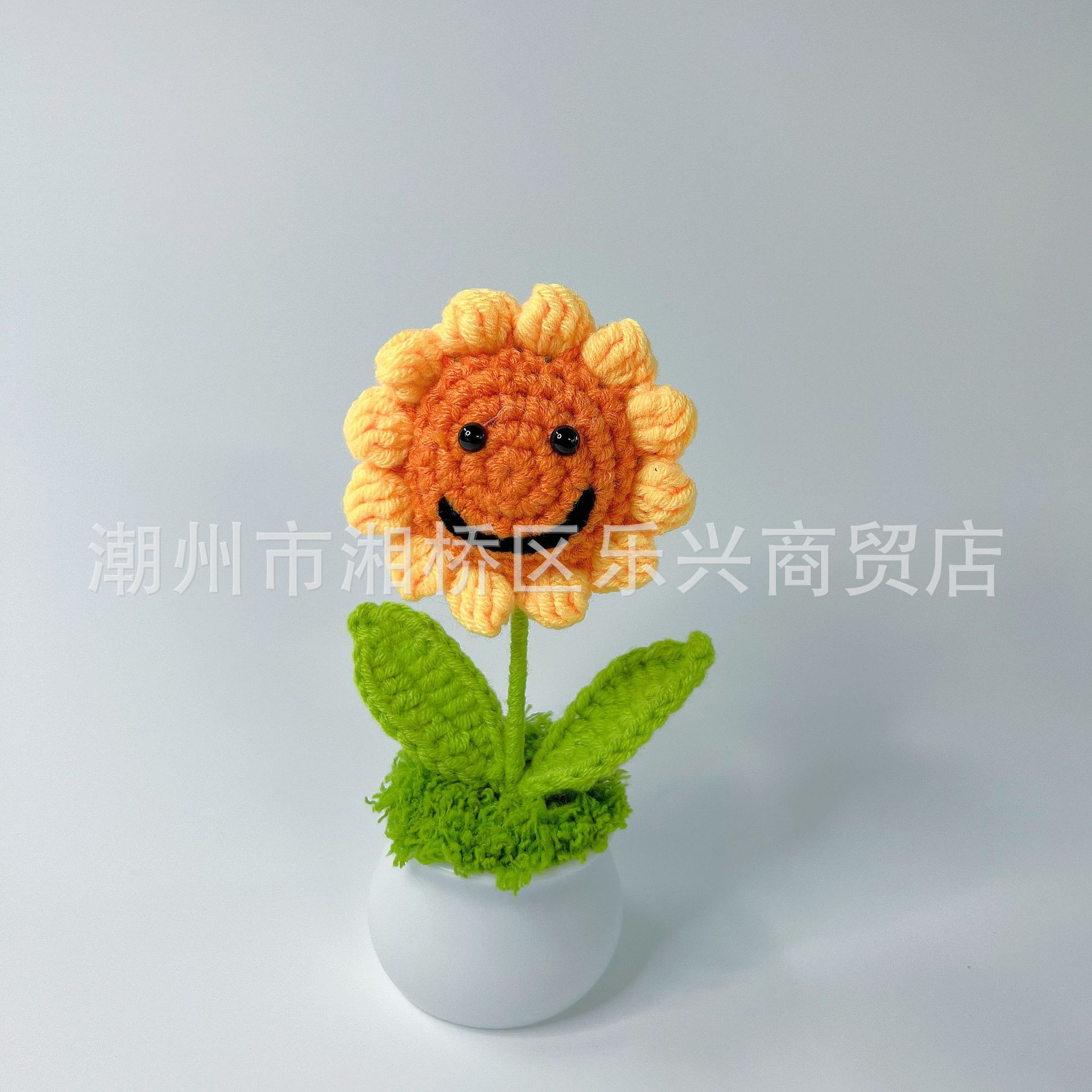 Smiley sunflower small pot plant