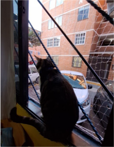 Harga pabrik harga murah jaring pelindung kucing balkon jaring pengaman jendela kucing Anti-UV untuk dijual - Product Image 6