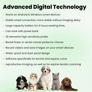 Kliniek Handheld Echografie Machine Huisdier Echografie Machine Draagbare Veterinaire Echografie Voor Dieren - Product Image 5