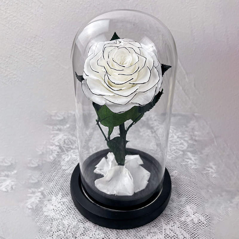 Rosa bianca singola