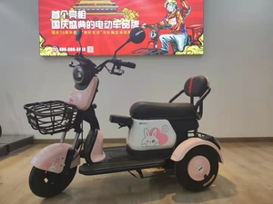 <span class=keywords><strong>EEC</strong></span> yüksek kalite toptan 500w 48vlead kurşun asit pil citycoco elektrikli scooter üç tekerlekli elektrikli bisiklet scooter yetişkin