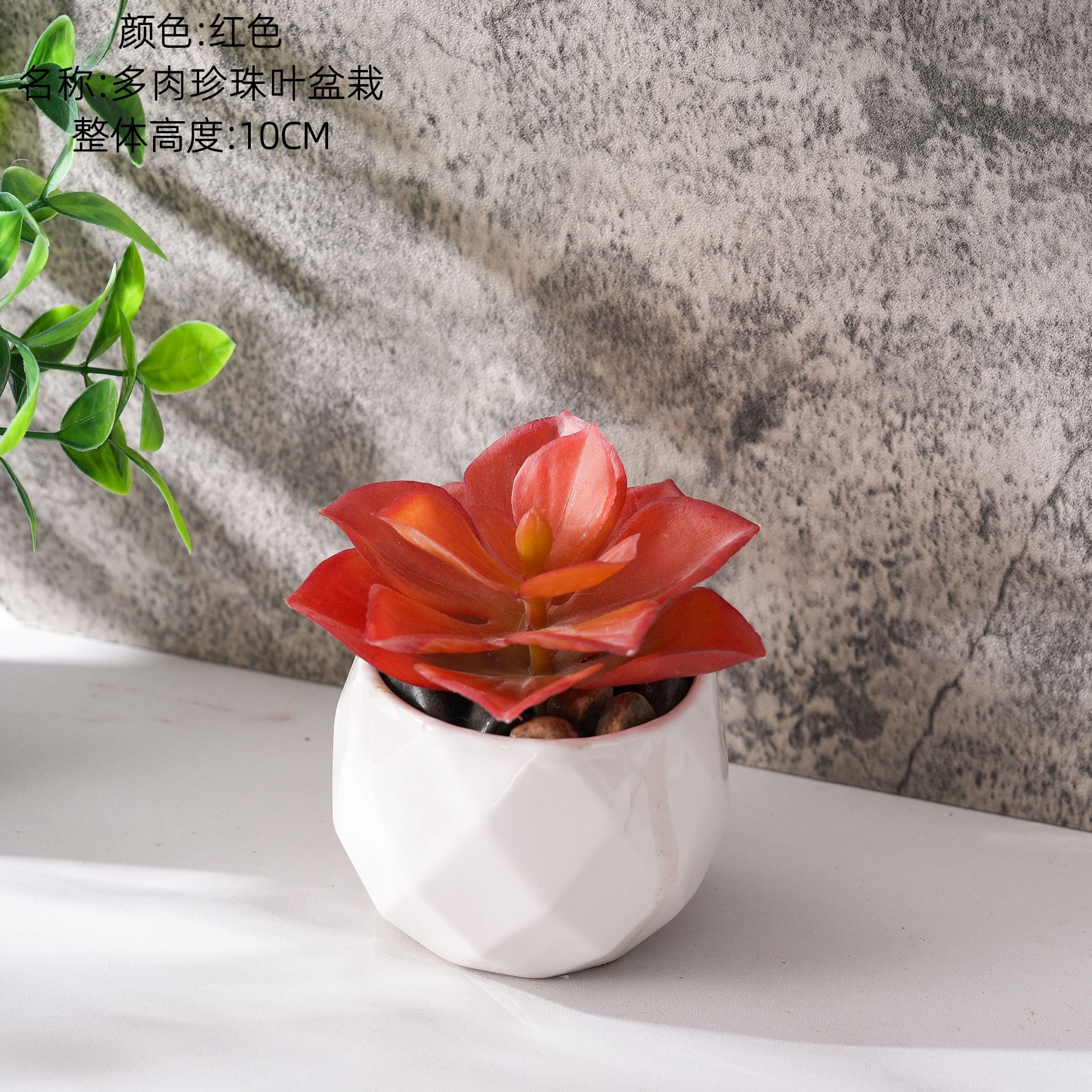 CF02253 Rouge