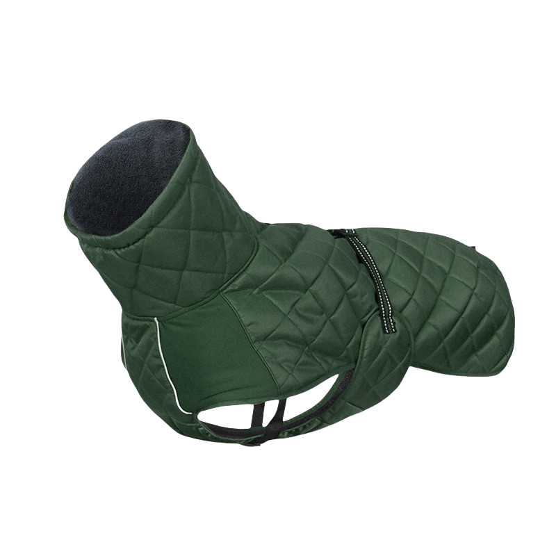 กองทัพสีเขียว