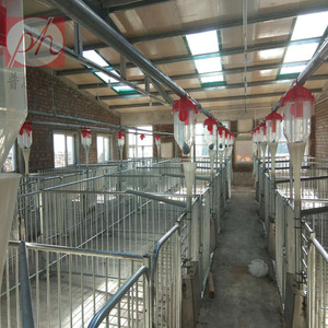 New PH Simple Automatic Pig Feeding System <strong>Chain</strong> Disc Drive <strong>Host</strong> for Animal Husbandry Equipment - Product Image 6