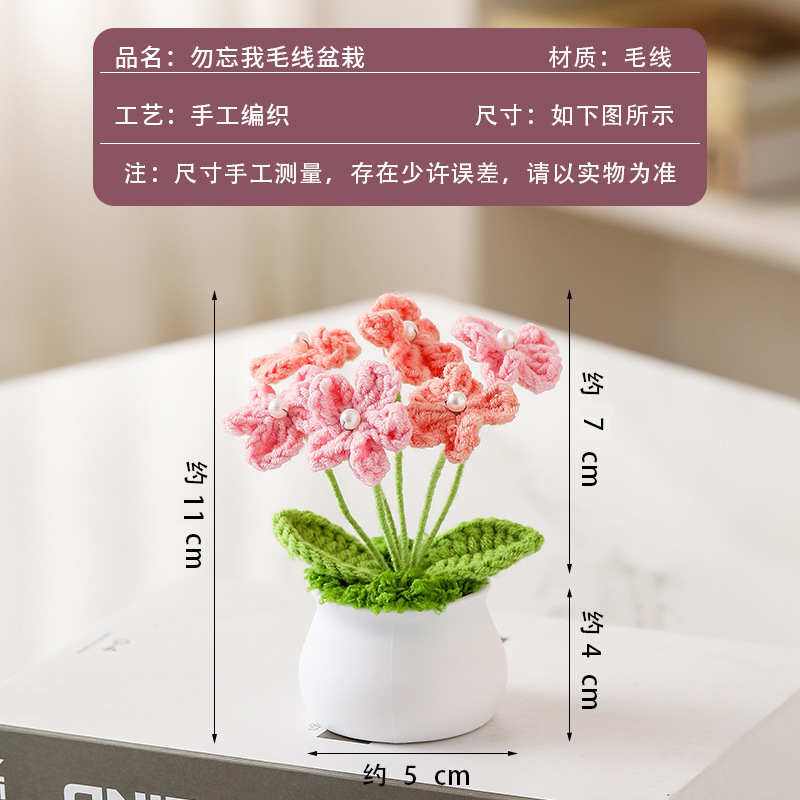 Double pink forget-me-not potted plant