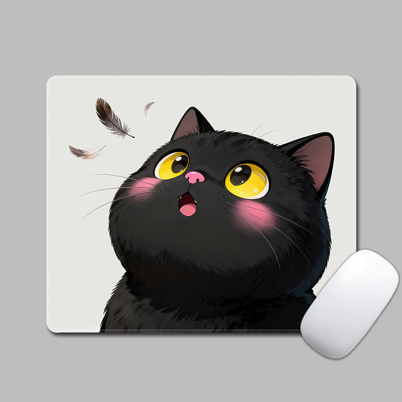Chat potelé 0580
