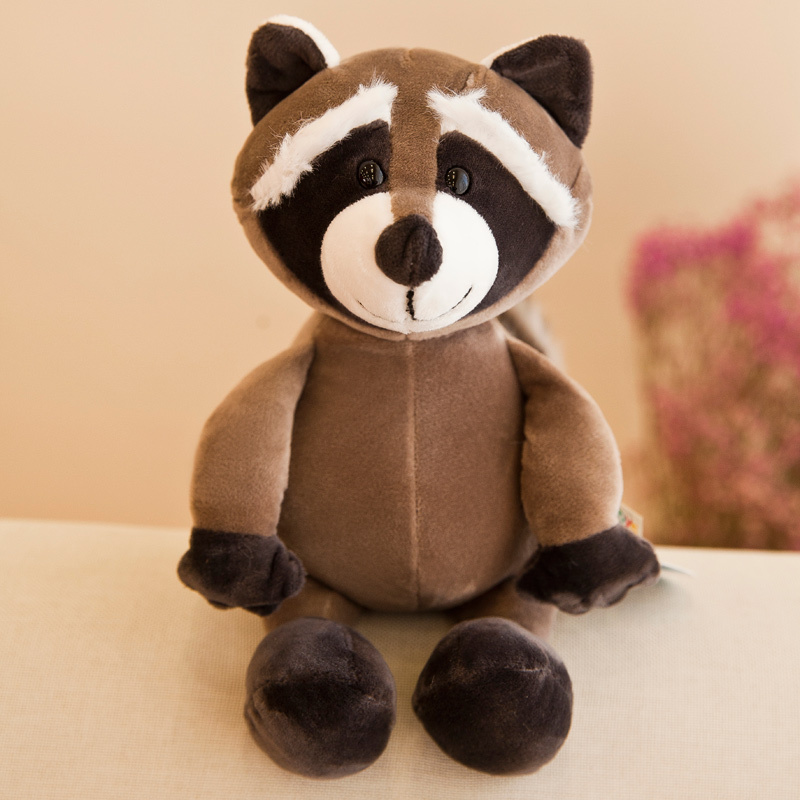 Mapache