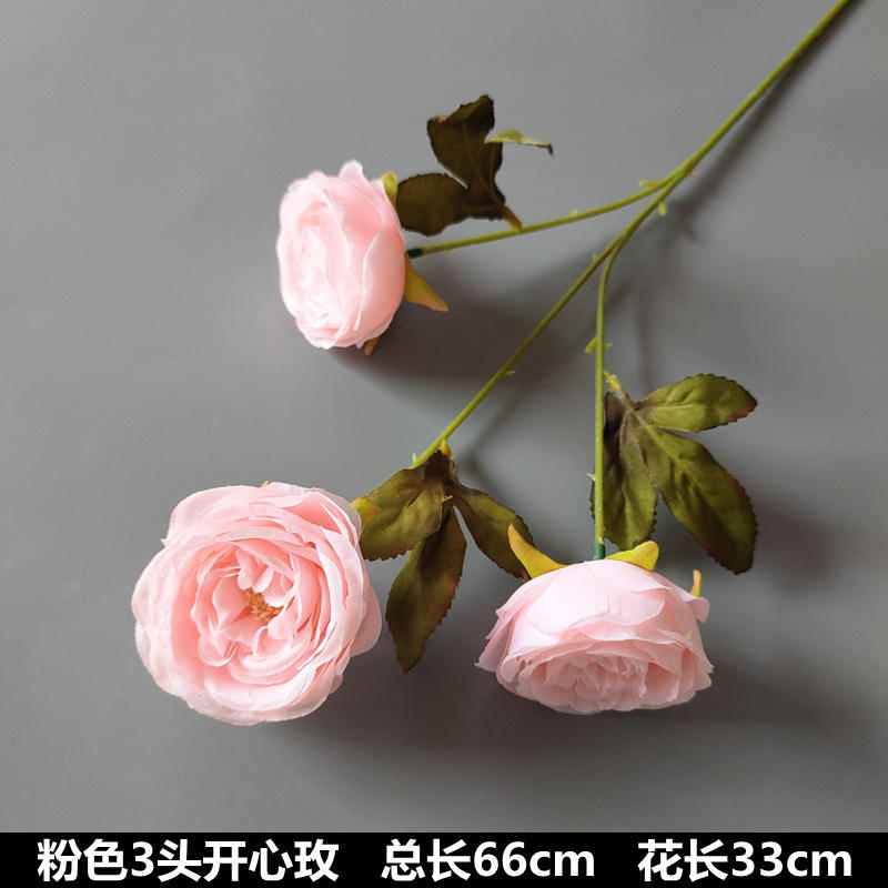 3 cabezas de rosas felices