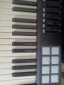 PANDA49 (Controlador MIDI) Sintetizador Plastic Music PANDAMINIc (Controlador MIDI)