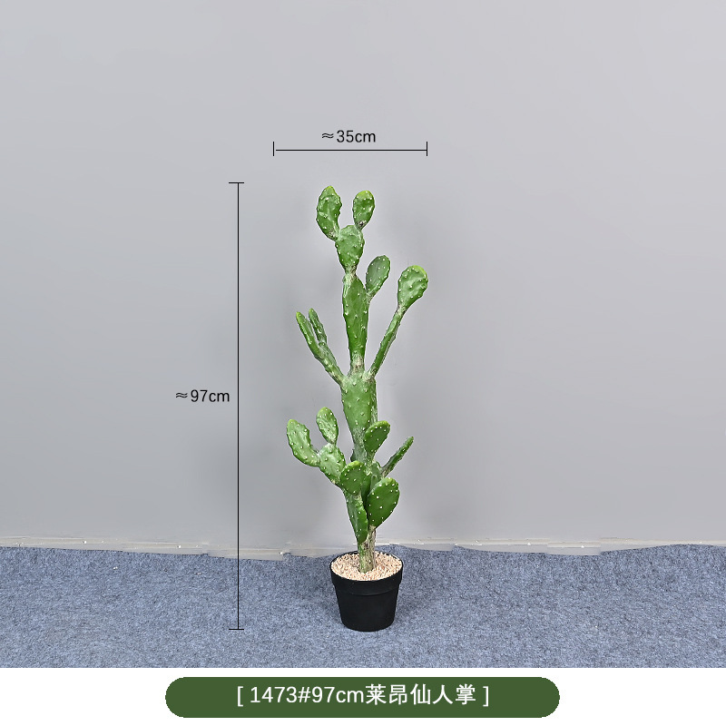 1473 #97cm cactus de leon