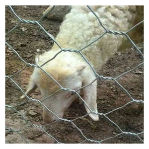 YC ad alta sicurezza agricoltura recinzione di rete metallica altamente personalizzabile esagonale recinzione di filo a basso prezzo recinzione di confine fattoria - Product Image 1