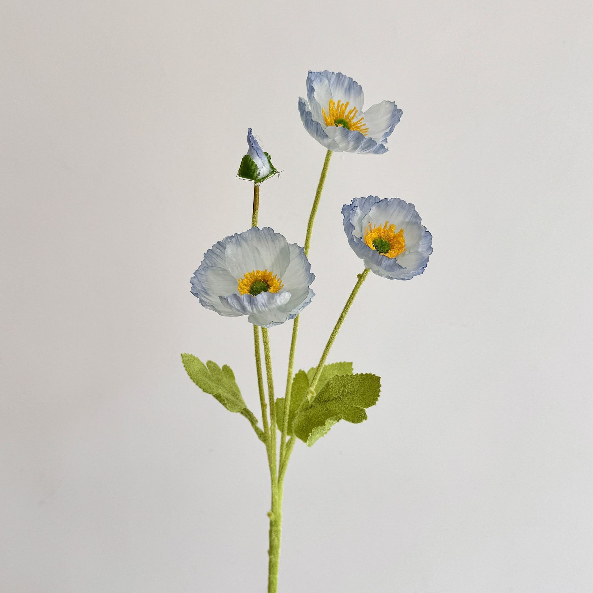 Bleu 2