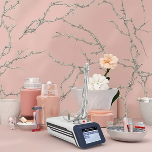 Hot Koop Draagbare Co2 Fractionele Laser Machine Accessoires Standaard Voor Hoofd Acne Kosten Vaginale Aanscherping Machine - Product Image 3