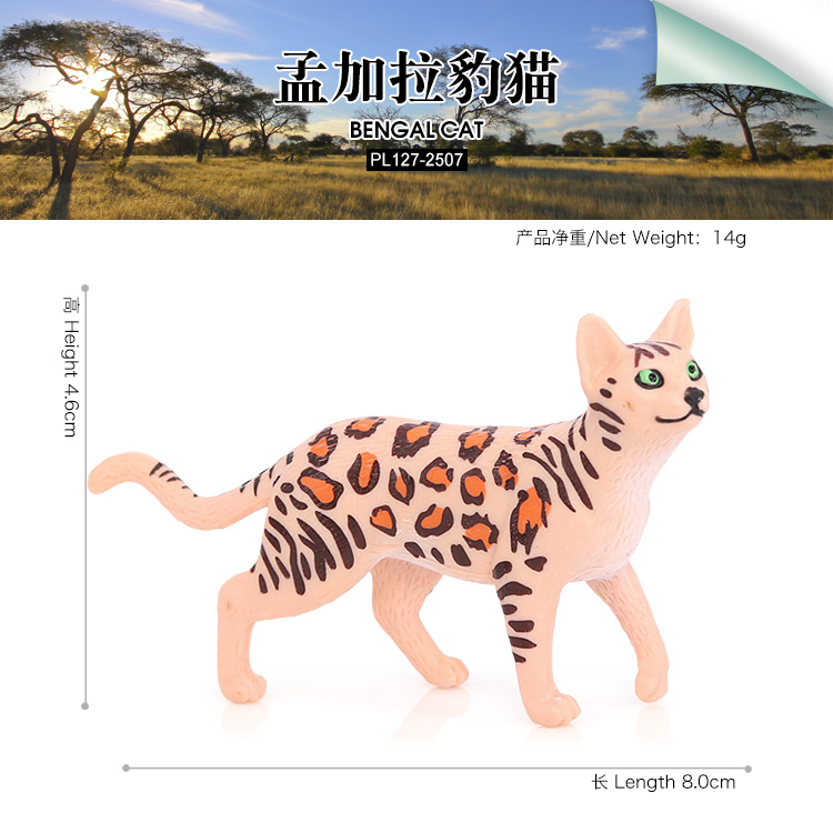 2507 Gatto del Bengala