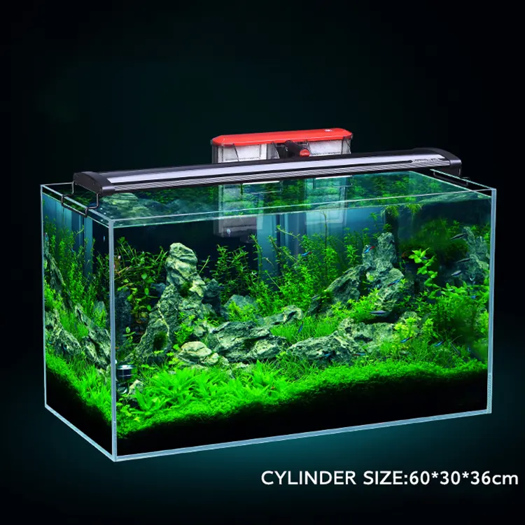 Wholesale Tropical Fish Live Led Table Fish Tank Aquarium Glass Fish Tank Aquarium %