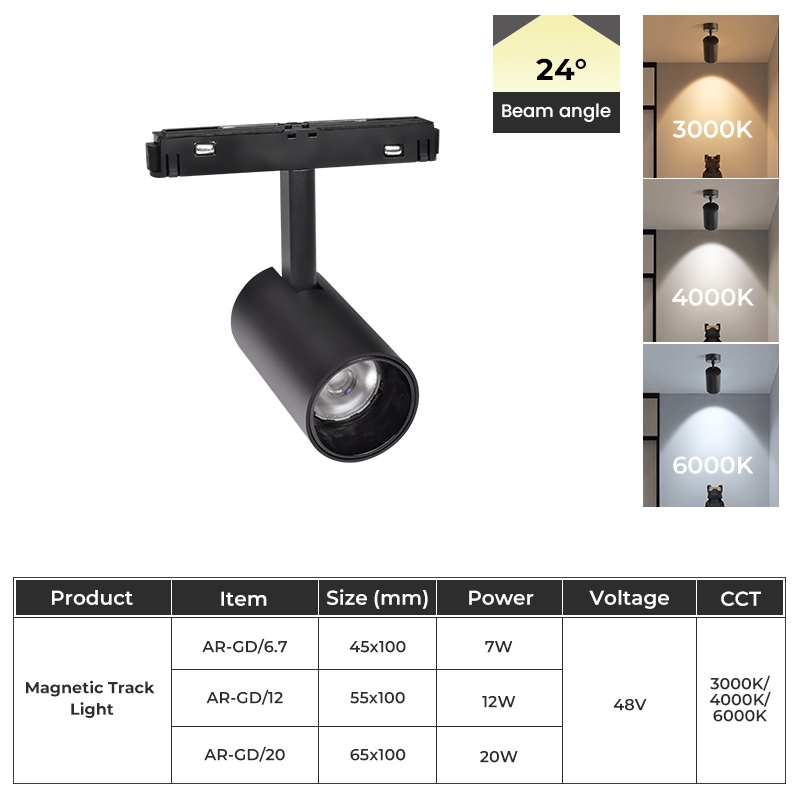 Magnetic Track Light
