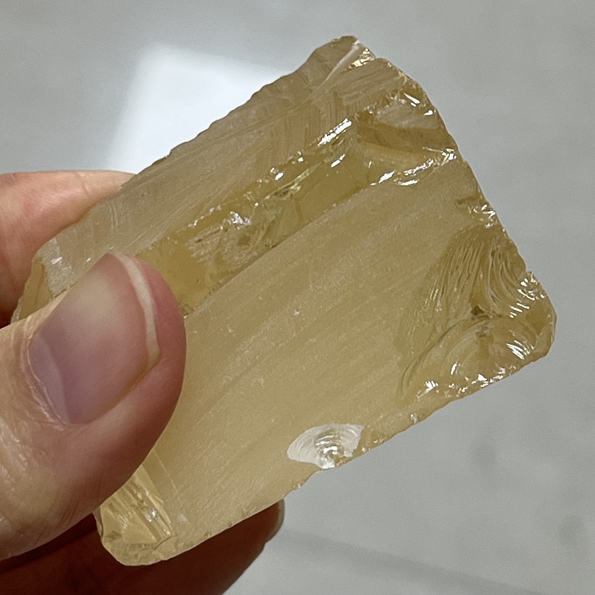 L-Moth yellow