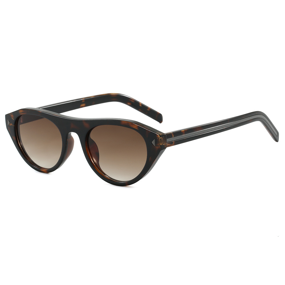 C3. Tortoise Frame Brown Lens