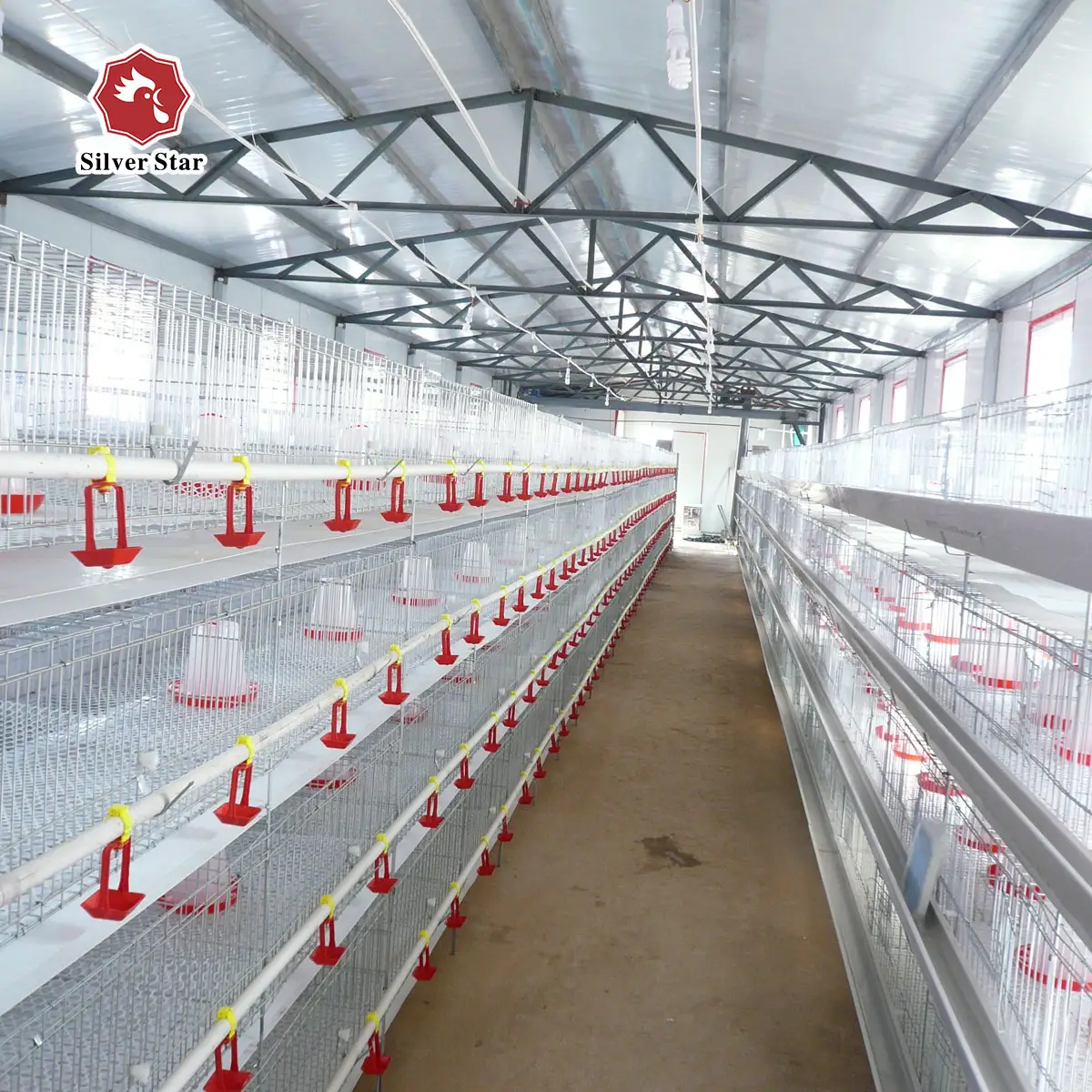 poultry raising chicken cage equipment for meat chicken