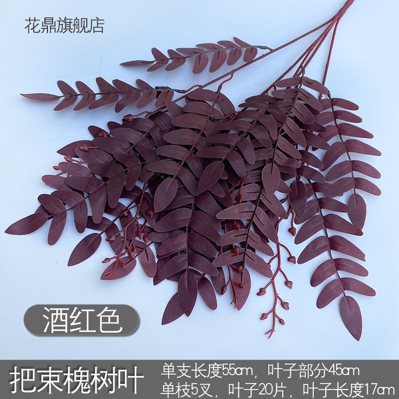Paquet de feuilles de sophora vin rouge