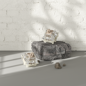 GATERON Công Tắc Bàn Phím Racoon Cơ Chơi Game Tự Làm Cho Bé 5 Chân 55G MX Linear RGB SMD Tự Làm Hàng Mới Về 2022 - Product Image 2