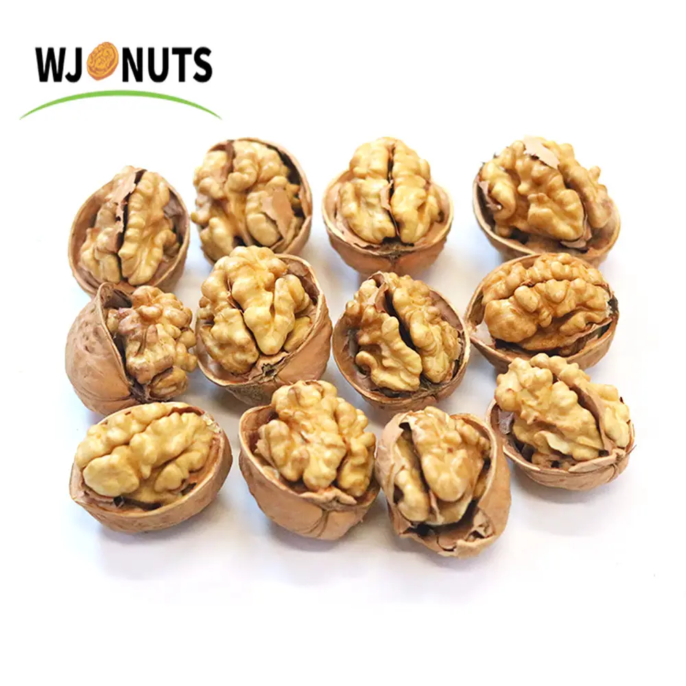 Chinese walnut paper shells 185 washed walnut with best price