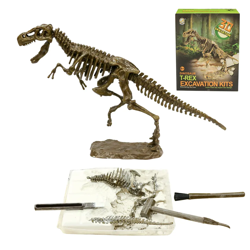 Scientific exploration T-REX dinosaur fossils dig games for kids