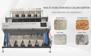 Clasificador de color de grano Frijoles Nueces Semillas Especias Goma arábiga Café Cacao 5 Chutes Máquina clasificadora de color - Product Image 6