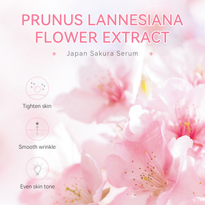 Özel etiket kozmetik üreticisi LAIKOU japonya Sakura serumu-hatta cilt tonu ve gözenekleri hafifletmek, 1.5ml - Product Image 2