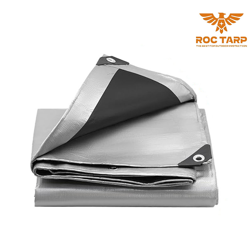 Silver/Black