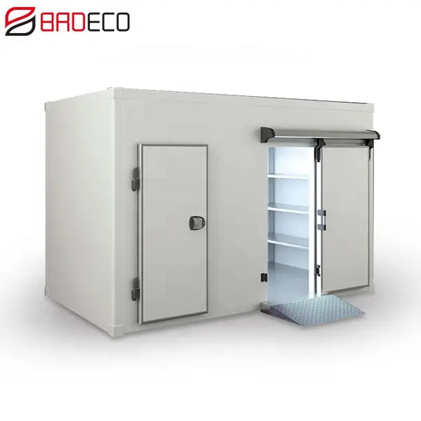 Сохранение свежести Tuv холодильная камера для хранения овощей двигатель Солнечный индивидуальный контейнер для ресторана поставляется распашная дверь цветная сталь