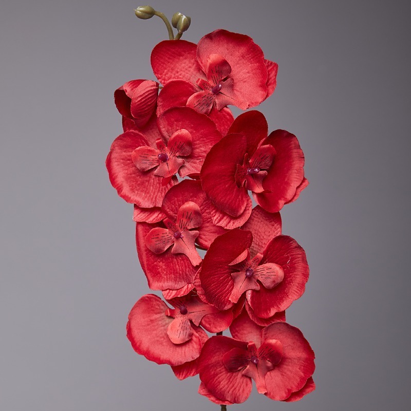 Printemps grand rouge