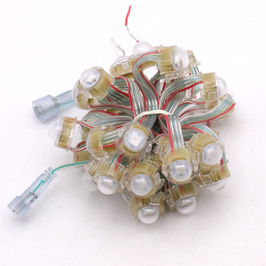 Christmas Decoration <strong>LED</strong> <strong>Modules</strong> DC5V Waterproof Full <strong>Color</strong> WS2811 20mm IP68 Bullet Smart <strong>Led</strong> <strong>Pixel</strong> Light <strong>String</strong> - Product Image 2
