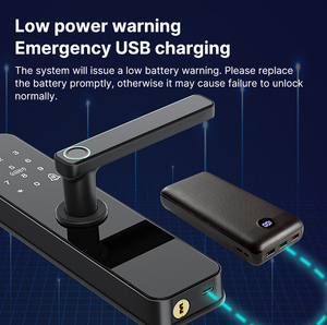 High <strong>Security</strong> Smart Home Product Smart Door Lock with App Control/Fingerprints/IC Cards/<strong>Codes</strong>/Keys for Front Door - Product Image 2