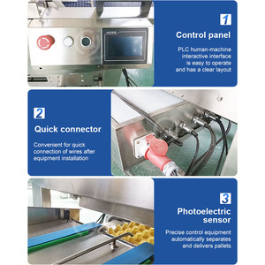 Confezionatore di uova di pollame oceanico macchina automatica per vassoio di uova di gallina macchina per smistare e imballare le uova - Product Image 4