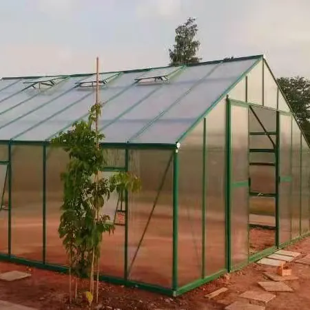 大型ポリカーボネート中空シート温室野菜植物用自動天窓温室