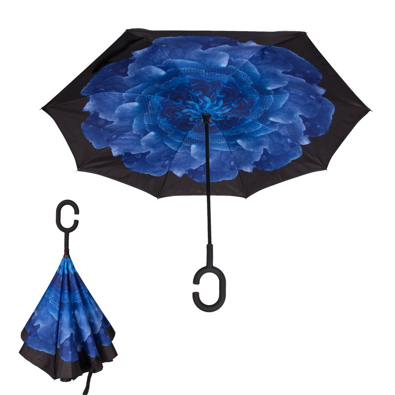 blue camellia