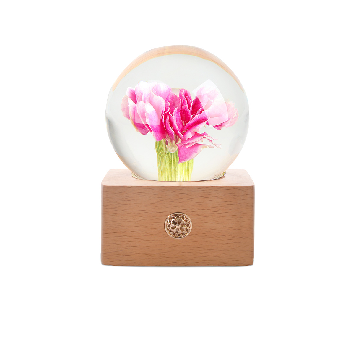 Clavel Rosa
