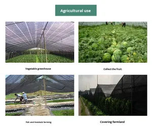 BSCI chứng nhận 6-pin PE mã hóa màu xanh lá cây hàng rào đa mục đích dù để che nắng <span class=keywords><strong>Net</strong></span> cho vườn bóng sân nhà kính - Product Image 5