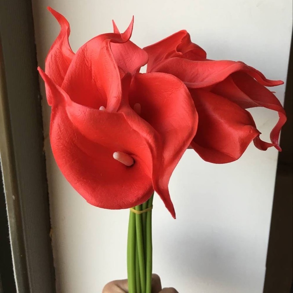 9 rojo