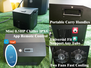 2025 Cheap <strong>Price</strong> Cooling Machine 1/2HP Small Cold Plunge Ice Bath Water <strong>Chiller</strong> With Filter