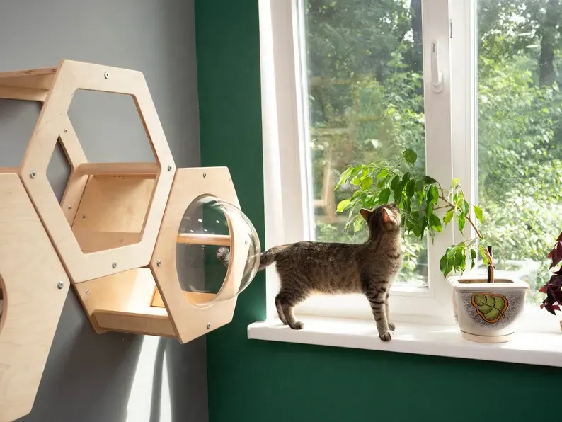Nieuw Ontwerp Huisdier Muur Gemonteerd Kattenhuis Meubilair Kat Plank Bed Gemonteerd Indoor Kattenhuis
