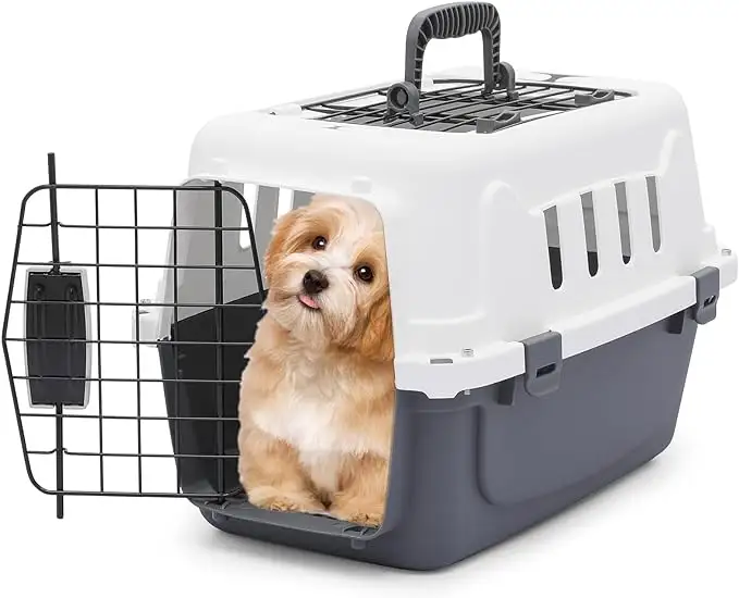 Großhandel Reisen umweltfreundliche Kunststoff-Haustier-Luftbox quadratische Air Transport-Hunde-Versandbox