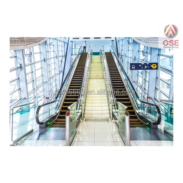 GSE Escalator Brand China Foshan Factory High Quality 35 degree two way Escalators Indoor Small Home escalator cost