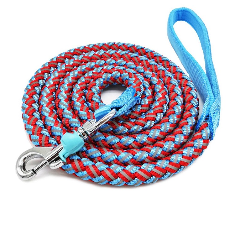 Laisse de chien 08