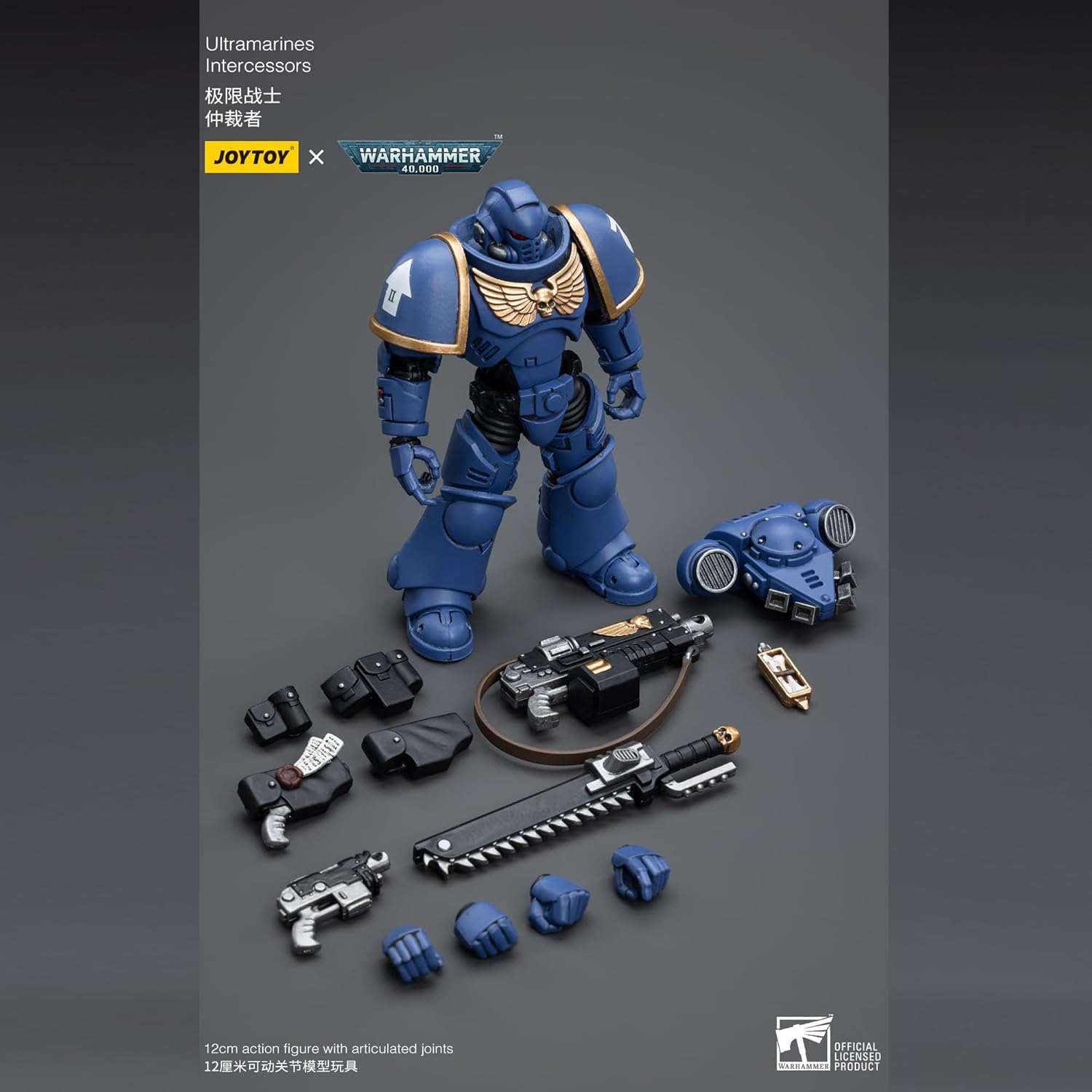 JT6632-Ultramarines Intercessors