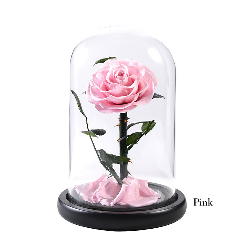 07 rose